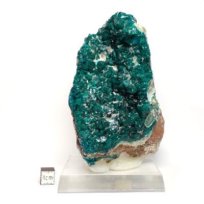 Dioptase Pierre Brute 19355