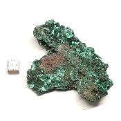 Malachite Fibreuse Pierre Brute n° 05977