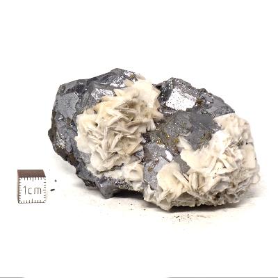 Galène Pierre brute 11620