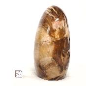 Bois Fossile Forme Libre 15455