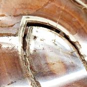 Cornaline chauffée forme libre 15655