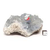 Célestine Pierre brute 15728