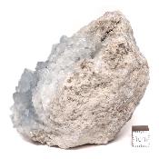 Célestine Pierre brute 15735