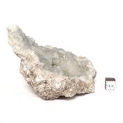 Célestine Pierre brute 15739