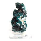 Dioptase Pierre Brute 15779