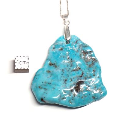 Turquoise de Chine pendentif Plaque 04918