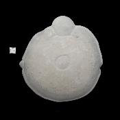 Pierre des Fées Pierre Brute - "Poisson ponpon" 15304