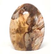 Bois Fossile Forme Libre 15452