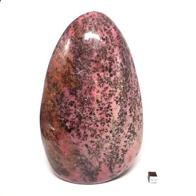 Rhodonite Forme Libre 15569