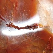 Cornaline chauffée forme libre 15651