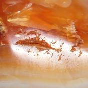 Cornaline chauffée forme libre 15655