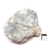 Célestine Pierre brute 15736