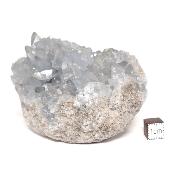 Célestine Pierre brute 15738