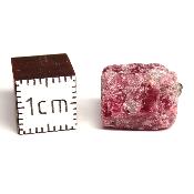 Béryl Rouge - WAH WAH MOUNTAINS UTAH 15853