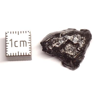 Météorite Sidérite Sikhote-Alin 15997