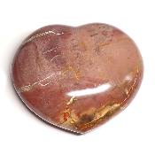 Bois Fossile Coeur 2045