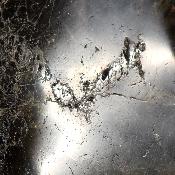 Labradorite Forme Libre 15363