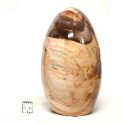 Bois Fossile Forme Libre 15452