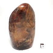 Pierre de Lune Noire Forme Libre 15576