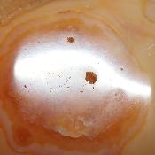 Cornaline chauffée forme libre 15657