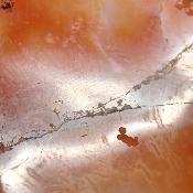 Cornaline chauffée forme libre 15660