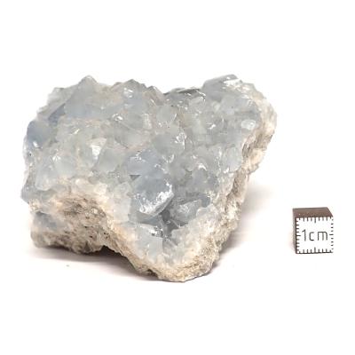 Célestine Pierre brute 15728