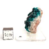Dioptase Pierre Brute 15782