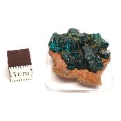 Dioptase Pierre Brute 15793