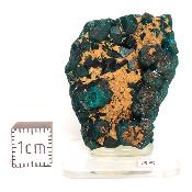 Dioptase Pierre Brute 15815