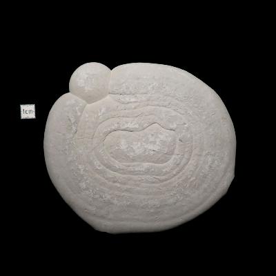 Pierre des Fées Pierre Brute - "Poisson" 15309