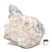 Célestine Pierre brute 15729