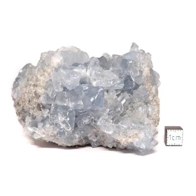 Célestine Pierre brute 15734