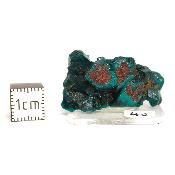 Dioptase Pierre Brute 15811