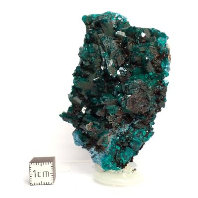 Dioptase Pierre Brute 17874