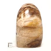 Bois Fossile Forme Libre 15455