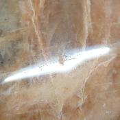 Pierre de Lune Orange Forme Libre 15512