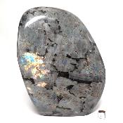 Labradorite Forme Libre 15562