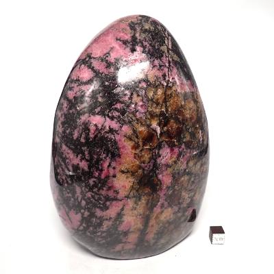 Rhodonite Forme Libre 15570