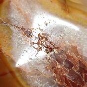 Cornaline chauffée forme libre 15651