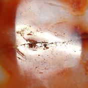 Cornaline chauffée forme libre 15656