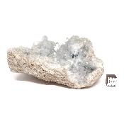 Célestine Pierre brute 15732