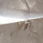 Cristal de Roche Pointe Polie 15882