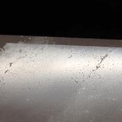 Cristal de Roche Pointe Polie 15953