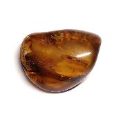 Ambre de la Baltique morceau poli 2039