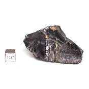 Shungite Cristallisée Pierre brute 05162