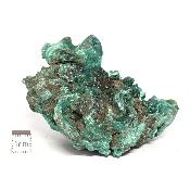 Malachite Fibreuse Pierre Brute n° 05971
