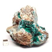 Dioptase Pierre Brute 11745