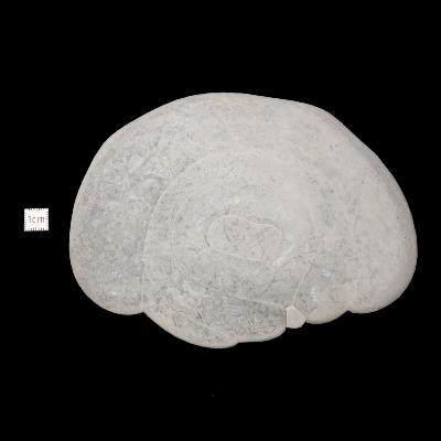 Pierre des Fées Pierre Brute - "Cyclope" 15275