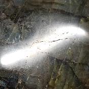 Labradorite Forme Libre 15363