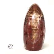 Bois Fossile Forme Libre 15454